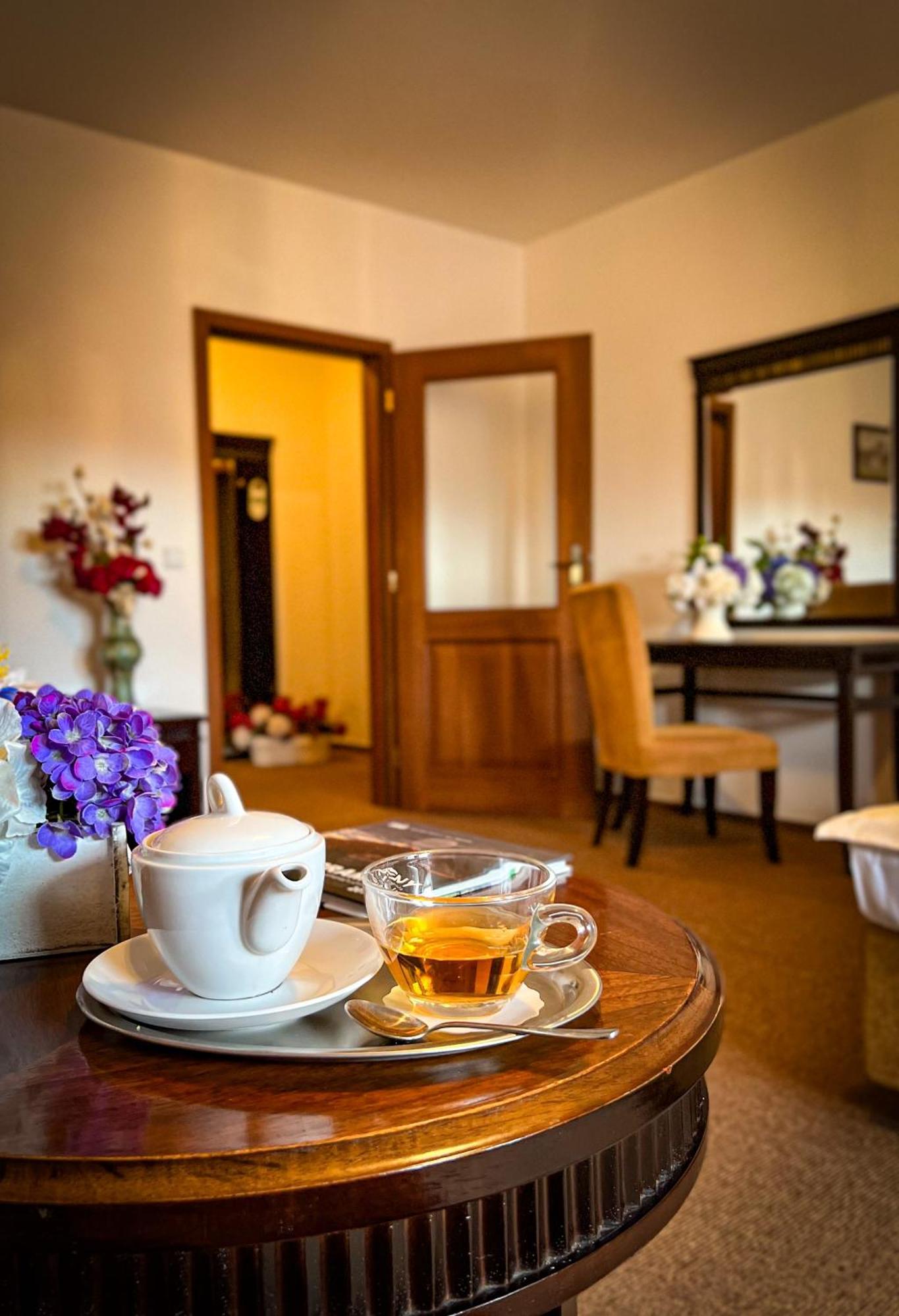 Hotel U Zeleneho Stromu Nepomuk Esterno foto