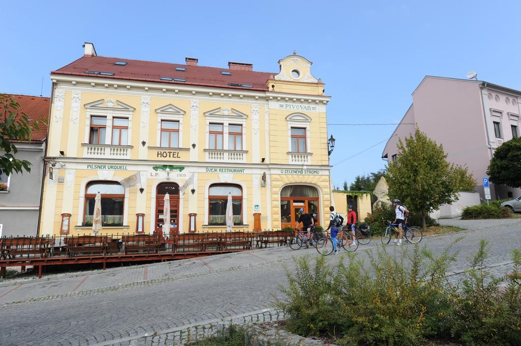 Hotel U Zeleneho Stromu Nepomuk Esterno foto